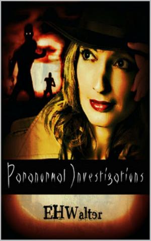 Cover of the book Paranormal Investigations 1: No Situation Too Strange by Sarah A. Hahn