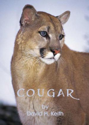 Cover of the book Cougar by Terry Schott