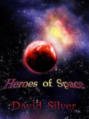 Cover of the book Heroes of Space by Barbara Kyle