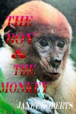 Book cover of The Boy & The Monkey