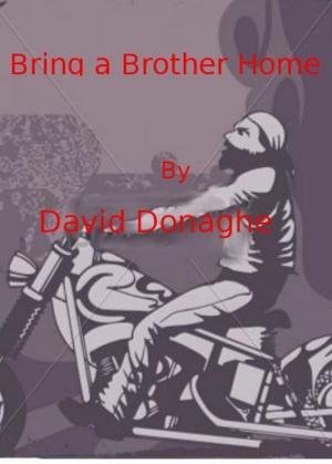Book cover of Bring a Brother Home.