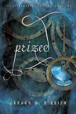 Cover of the book Prized by Julie Fogliano
