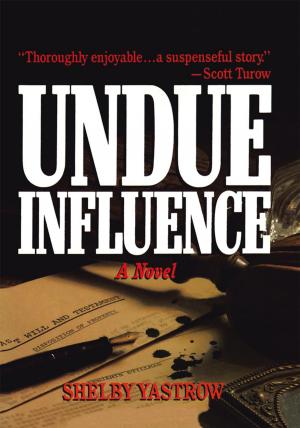 Cover of the book Undue Influence by Junisia Hey