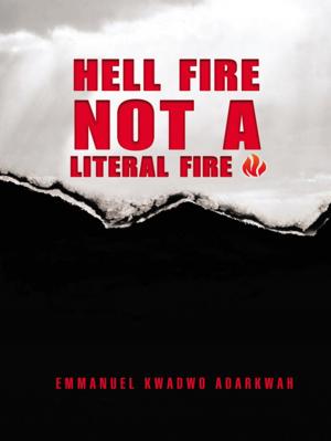 Cover of the book Hell Fire Not a Literal Fire by Robert D. Andrews