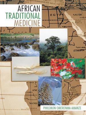 Cover of the book African Traditional Medicine by Aj Chapman