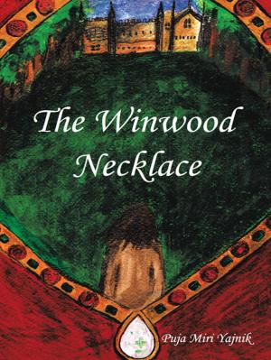 Cover of the book The Winwood Necklace by Dr. Khadijeh Homay Salehi, Dr. Zahra Arzjani, Dr. Vida Rahiminezhad