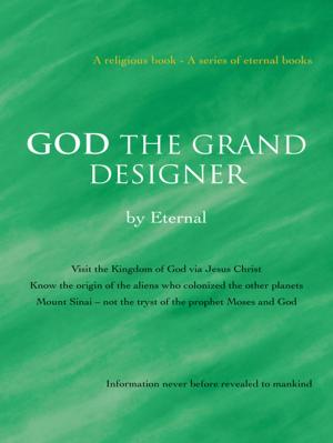 Cover of the book God the Grand Designer by Steve Blankenship