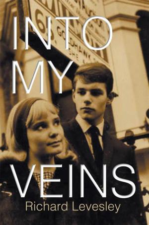Cover of the book Into My Veins by Ged Dunkel
