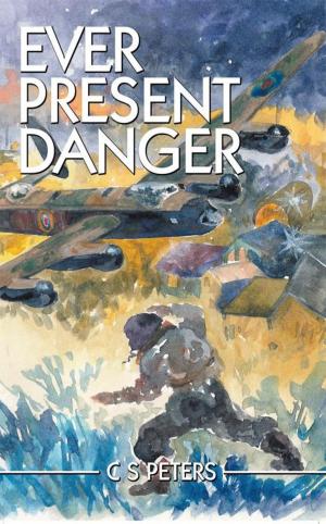 Cover of the book Ever Present Danger by Barbara Mills