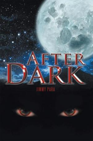 Cover of the book After Dark by Bode Olowookere