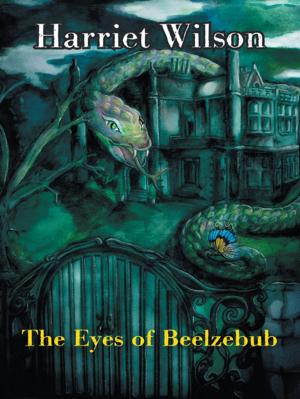 Cover of the book The Eyes of Beelzebub by Elaina Gaeta, Mackenna Gaeta