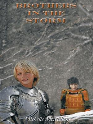 Cover of the book Brothers in the Storm by Michael R. Tate
