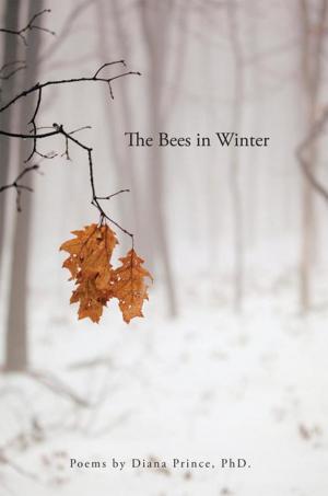 Cover of the book The Bees in Winter by Jim Holtslag
