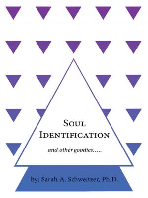 Cover of the book Soul Identification and Other Goodies….. by Lucille Skelton