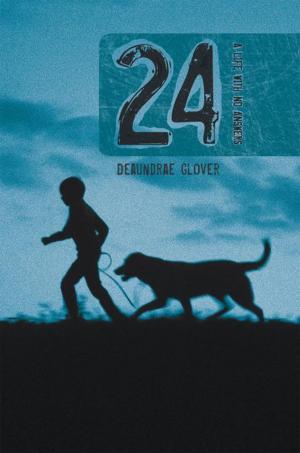 Cover of the book 24 by Dr. David S. Igneri, Maria Hansson