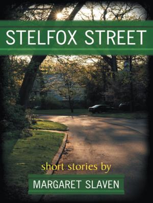 Cover of the book Stelfox Street by Zachary Casciato