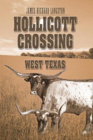 Book cover of Hollicott Crossing