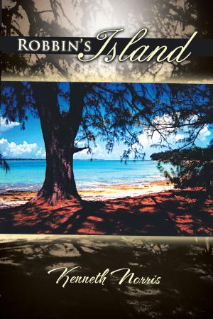 Cover of the book Robbin’S Island by David R. Jones