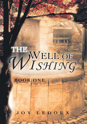 Cover of the book The Well of Wishing by Jim Woodell