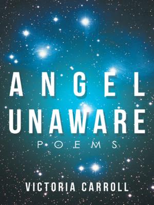 bigCover of the book Angel Unaware by 