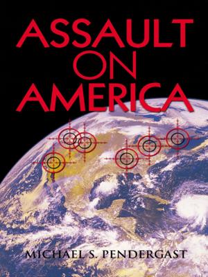 Cover of the book Assault on America by Helena Allard
