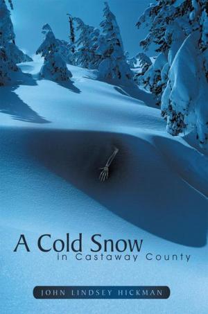 Cover of the book A Cold Snow in Castaway County by Lavina Giamusso