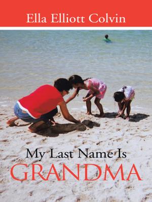 Cover of the book My Last Name Is Grandma by Jonathan Davis