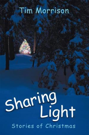 Cover of the book Sharing Light by Neffe