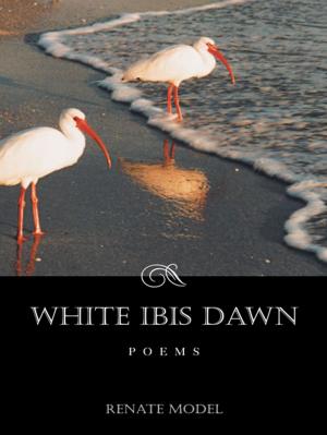 Cover of the book White Ibis Dawn by Sara Hopley Boatz