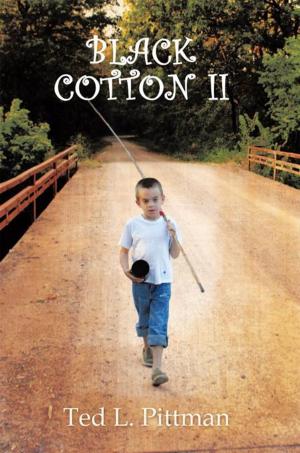 Cover of the book Black Cotton Ii by Mike Morra