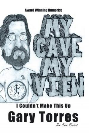 Cover of the book My Cave My View by Donald Knoepfle