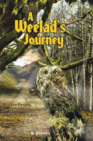 Book cover of A Weelad's Journey