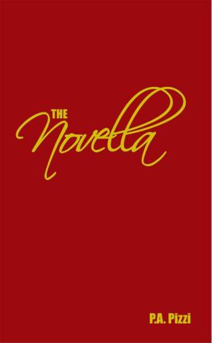 Cover of the book The Novella by Jon Arnhold