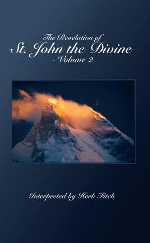 Cover of the book The Revelation of St. John the Divine - Volume 2 by Dr. T. J. Tofflemire