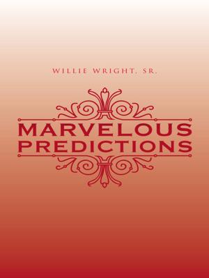 Cover of the book Marvelous Predictions by Jefferey McGill