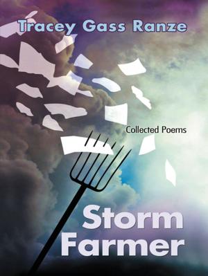 Book cover of Storm Farmer