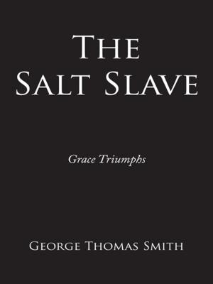 Book cover of The Salt Slave