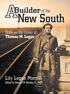 Cover of the book A Builder of the New South by Bernie Morris Evans