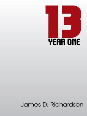 Cover of the book 13 by Brandon T. Johnson