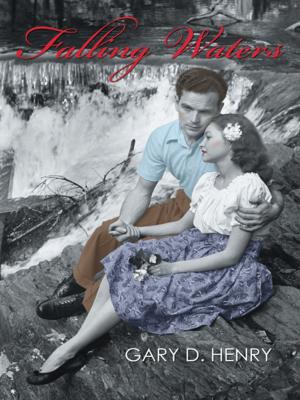 Cover of the book Falling Waters by Lendy E. Demetrius
