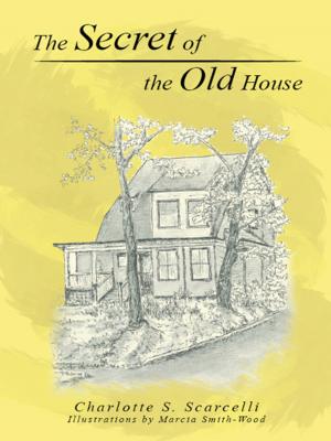 bigCover of the book The Secret of the Old House by 