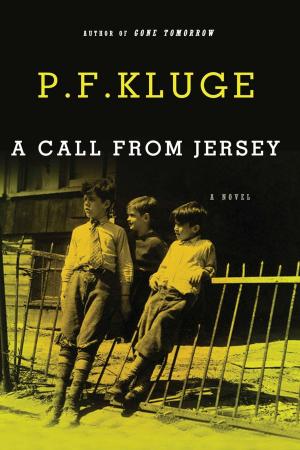 Cover of the book A Call From Jersey by Margi Preus
