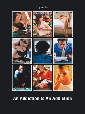 Cover of the book An Addiction Is an Addiction by Danielle Calhoun