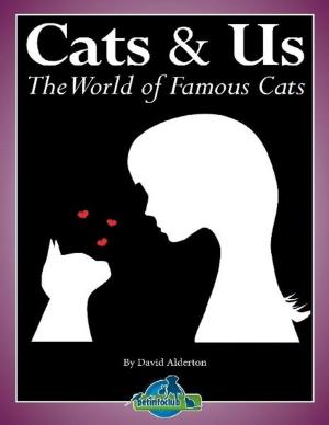 Book cover of Cats & Us
