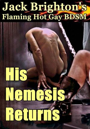 Cover of the book His Nemesis Returns by Jack Brighton