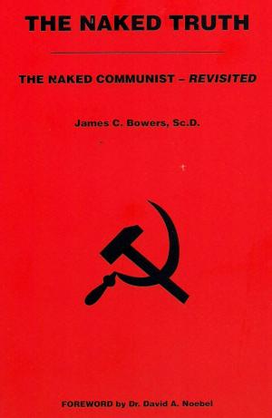 Cover of the book The Naked Truth by Arnold Solomon