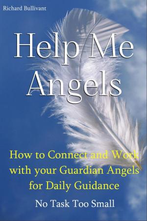 Book cover of Help Me Angels: How to Connect and work with your Guardian Angels for Daily Guidance. No Task too Small