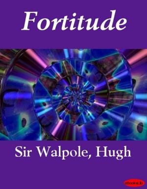 Book cover of Fortitude