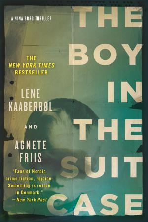 Cover of the book The Boy in the Suitcase (Nina Borg #1) by Kwei Quartey