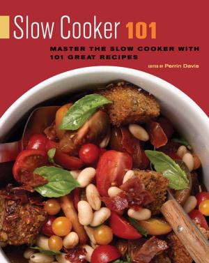 Cover of the book Slow Cooker 101 by Marvin Zonis, Dan Lefkovitz, Sam Wilkin, Joseph Yackley